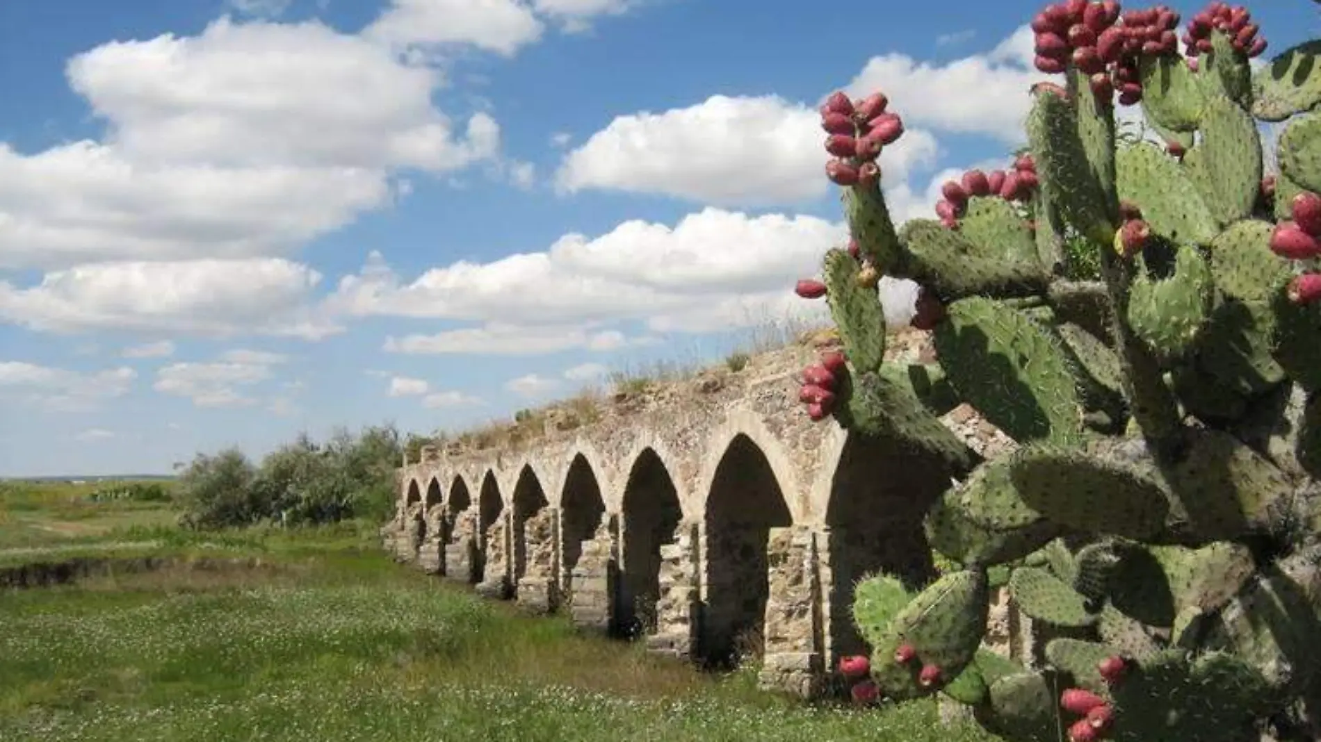 tierra adentro